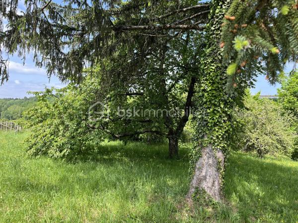 Situé à environ 6 minutes de Hautefort, la commune de Nailhac offre une qualité de vie en harmonie avec la nature. C'est au coeur de ce très charmand village du Périgord Noir que je vous propose ce manifique terrain arboré d'une superficie de 1587 m² constructible. Avec ces arbres magestueux et une vu imprenable sur la campagne environnante, c'est un écrin de choix pour votre projet de construction. Alors, amoureux de nature et de tranquilité, laissez vous séduire, c'est magnifique.