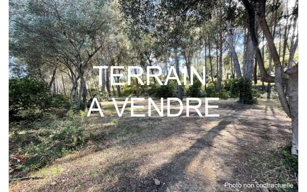 Terrain à vendre    Ollioules