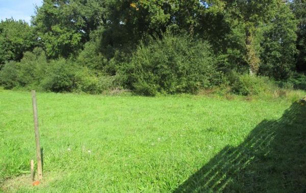 Vente Terrain Sainte-foy