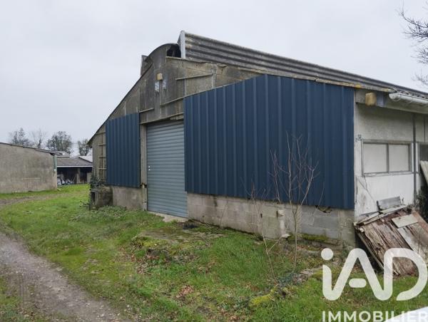 Maison à vendre 1 pièce 360 m² Couville