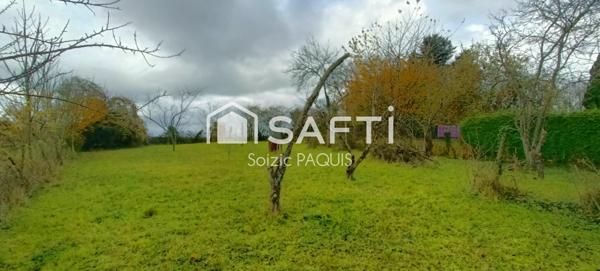 Maison de village avec un grand jardin !