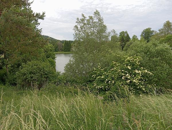 Maison plateau d 'Hauteville Thézillieu