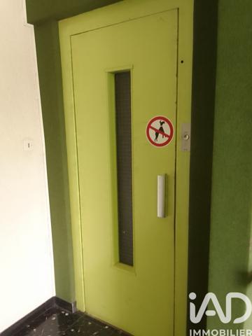 Location appartement 3 pièces 51 m² Chauffailles