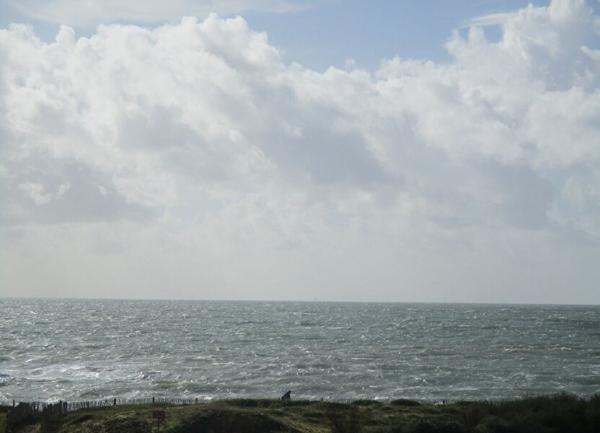 Appartement à vendre    1 pièce • 21,32 m2 Piriac-sur-Mer