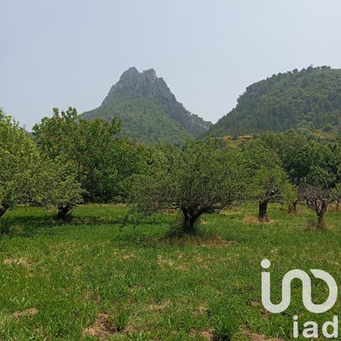 Terrain à vendre 11 771 m² Buis-les-Baronnies