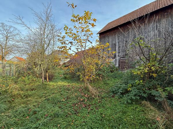 Maison à Vendre GERSTHEIM