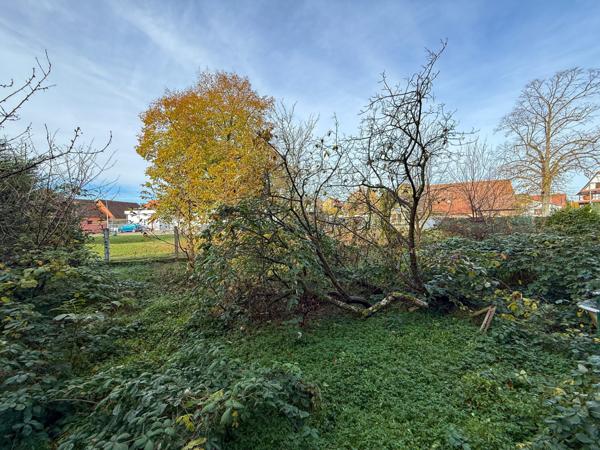 Maison à Vendre GERSTHEIM