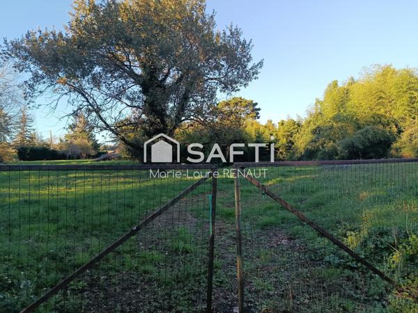 Terrain plat - Bien placé - Environnement campagne - Axe Graulhet - Réalmont