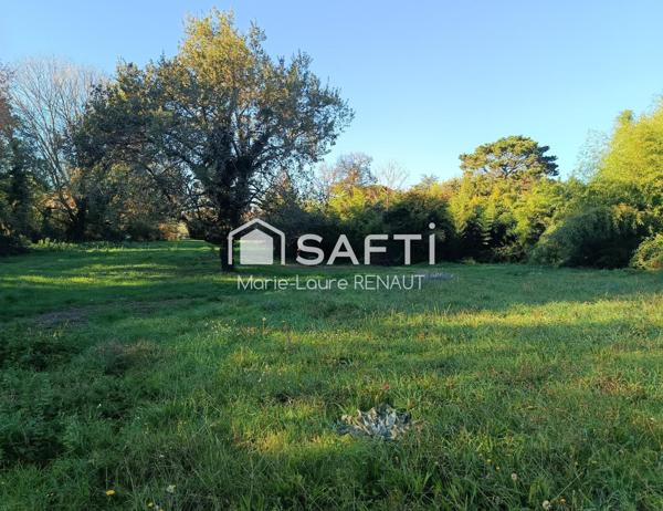 Terrain plat - Bien placé - Environnement campagne - Axe Graulhet - Réalmont