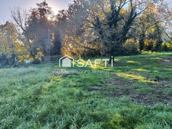 Terrain plat - Bien placé - Environnement campagne - Axe Graulhet - Réalmont