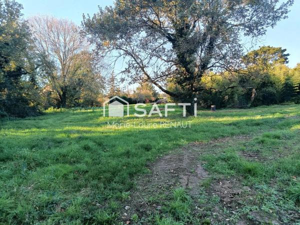 Terrain plat - Bien placé - Environnement campagne - Axe Graulhet - Réalmont