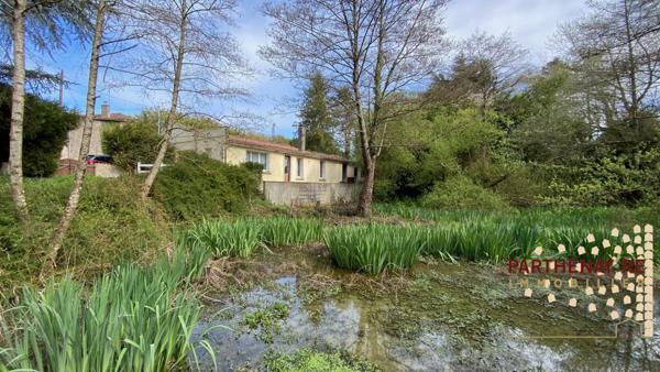 Maison de campagne avec une petite mare à CLESSÉ