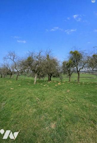 Terrain à vendre Pure