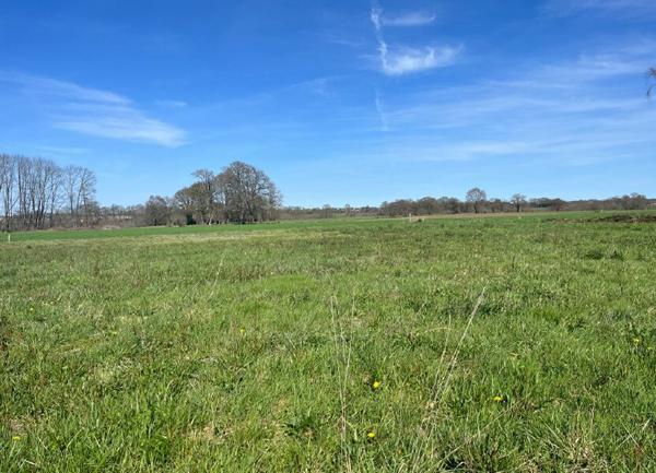 Terrain à vendre    Saint-Jammes