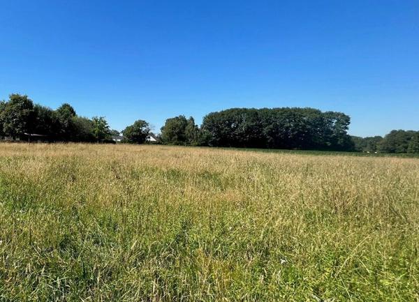 Terrain à vendre    Saint-Jammes