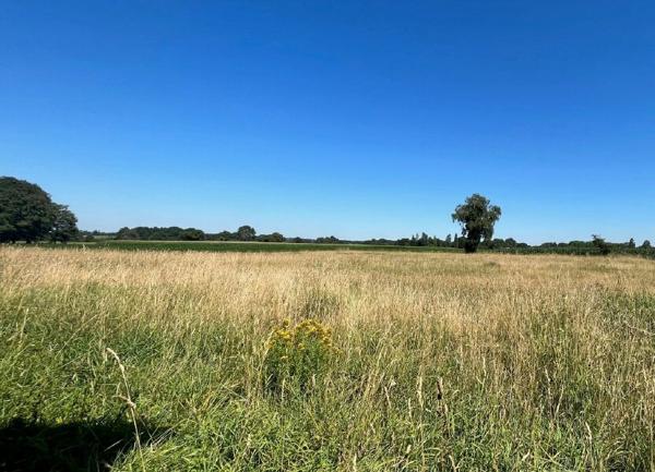 Terrain à vendre    Saint-Jammes