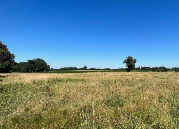 Terrain à vendre    Saint-Jammes