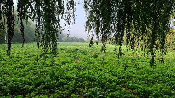 🏞️ Terrain de loisirs exceptionnel – 4,4 hectares – Étangs, bois & ruisseau 📍 Croissanville (14) – Calvados