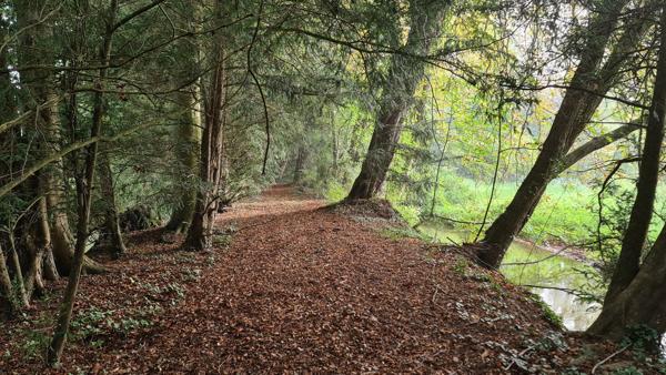 🏞️ Terrain de loisirs exceptionnel – 4,4 hectares – Étangs, bois & ruisseau 📍 Croissanville (14) – Calvados