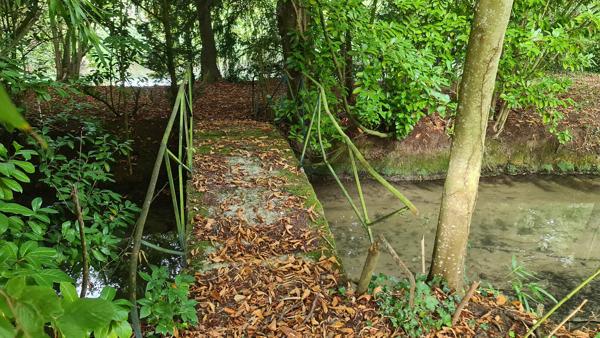 🏞️ Terrain de loisirs exceptionnel – 4,4 hectares – Étangs, bois & ruisseau 📍 Croissanville (14) – Calvados