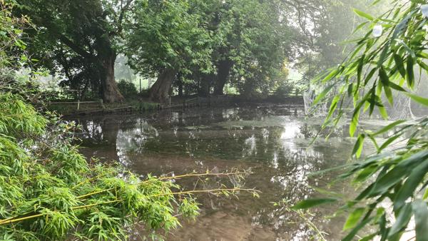 🏞️ Terrain de loisirs exceptionnel – 4,4 hectares – Étangs, bois & ruisseau 📍 Croissanville (14) – Calvados