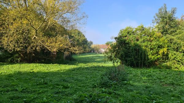 🏞️ Terrain de loisirs exceptionnel – 4,4 hectares – Étangs, bois & ruisseau 📍 Croissanville (14) – Calvados