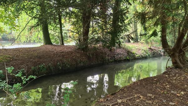 🏞️ Terrain de loisirs exceptionnel – 4,4 hectares – Étangs, bois & ruisseau 📍 Croissanville (14) – Calvados