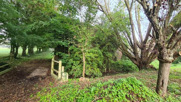 🏞️ Terrain de loisirs exceptionnel – 4,4 hectares – Étangs, bois & ruisseau 📍 Croissanville (14) – Calvados