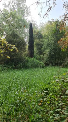 🏞️ Terrain de loisirs exceptionnel – 4,4 hectares – Étangs, bois & ruisseau 📍 Croissanville (14) – Calvados