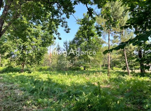 Terrain à CHANCELADE, 24650 - 1124m²