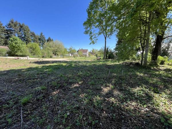 Terrain à vendre 98 360 € Cellettes 829 m² DPE