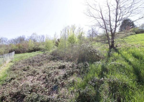 Terrain - 1613 m² Exclusivité efficity