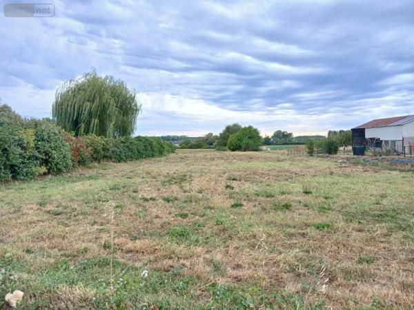 Achat - Terrain à bâtir Mazé-Milon 49140 11464 m 2