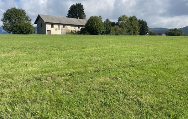 Vente Maison ferme calme vue 11000m² terrain à rénover Domessin   