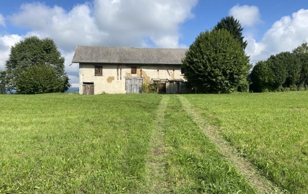 Vente Maison ferme calme vue 11000m² terrain à rénover Domessin   