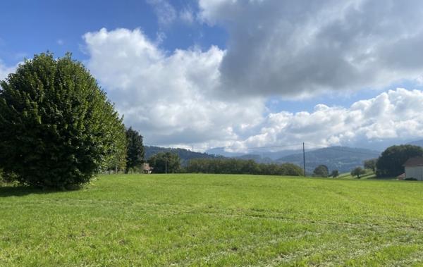 Vente Maison ferme calme vue 11000m² terrain à rénover Domessin   