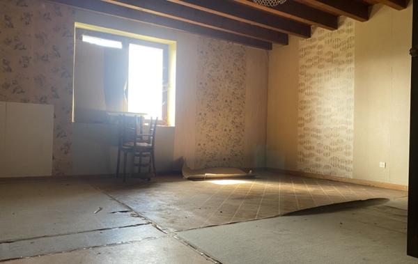 Vente Maison ferme calme vue 11000m² terrain à rénover Domessin   