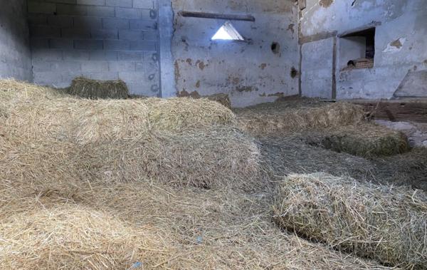 Vente Maison ferme calme vue 11000m² terrain à rénover Domessin   