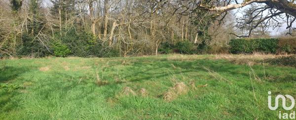 Terrain à vendre 542 m² Grand-Champ