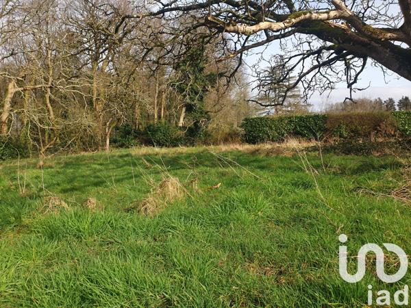 Terrain à vendre 542 m² Grand-Champ