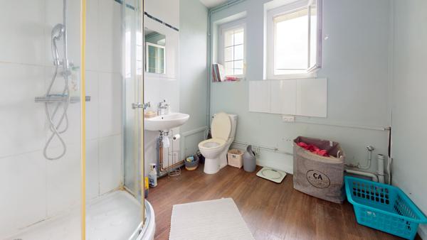 Cinq-Mars-la-Pile (37130) Charmante maison et son gîte