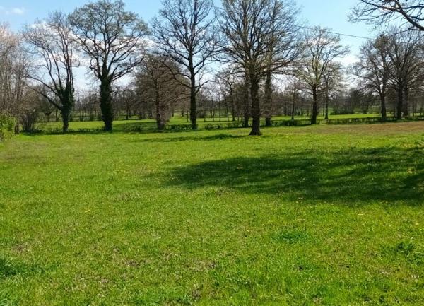 Terrain à vendre    Gouzon