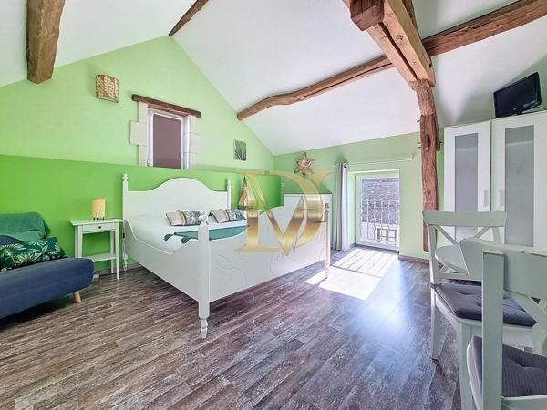 EXCLUSIVITÉ – Propriété avec activité touristique en Touraine – Saint-Georges-sur-Cher