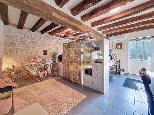 EXCLUSIVITÉ – Propriété avec activité touristique en Touraine – Saint-Georges-sur-Cher