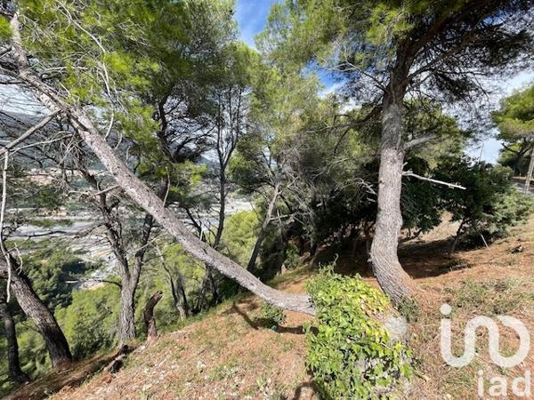 Terrain à vendre 7 070 m² Colomars