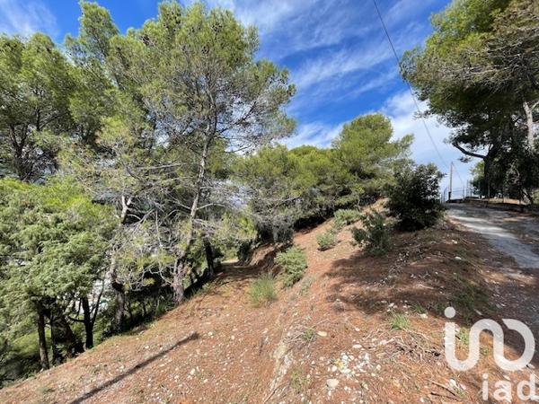 Terrain à vendre 7 070 m² Colomars