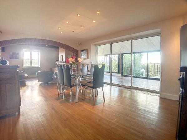 Grande maison renovee avec piscine, jardin et vue Pyrenees