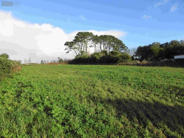 Maison à vendre à Plouhinec dans le Finistère (29780), ref : 020/3716