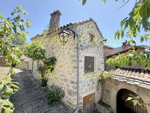 Vente / Maison en pierre