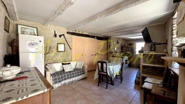 Vente / Maison en pierre